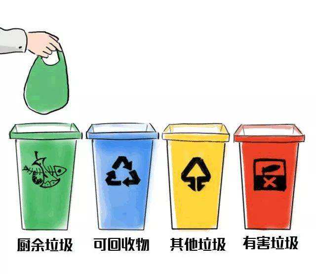 1572571151334091884.jpg timg.jpg